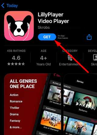 Stream Bird IPTV with Lilly Player