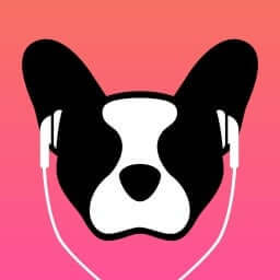 get the Lilly Player to stream Knockout IPTV