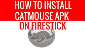 How to Install Catmouse Apk on Firestick [2021]