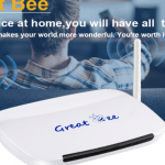 Great Bee IPTV