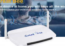 Great Bee IPTV: Review, Pricing, and IPTV Box Installation