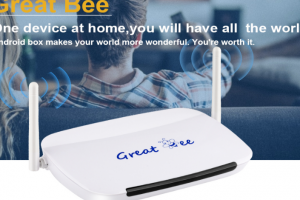Great Bee IPTV: Review, Pricing, and IPTV Box Installation