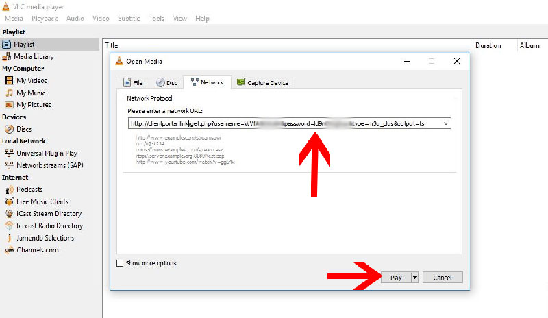 Paste the M3U URL from Bird IPTV and select the Play button