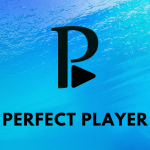 Perfect Player