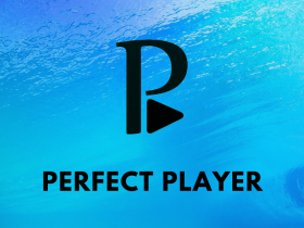 Perfect Player