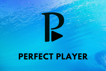 Perfect Player