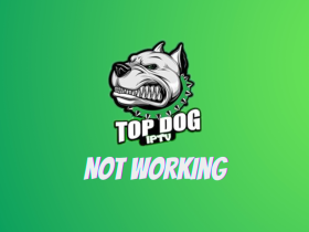 Top Dog IPTV not working