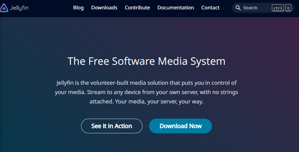 Click the Downloads tab