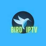 Bird IPTV: Overview, Features, and Setup Guide