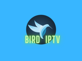 Bird IPTV: Overview, Features, and Setup Guide