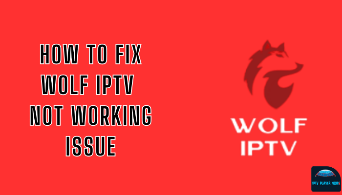 Wolf IPTV Not Working