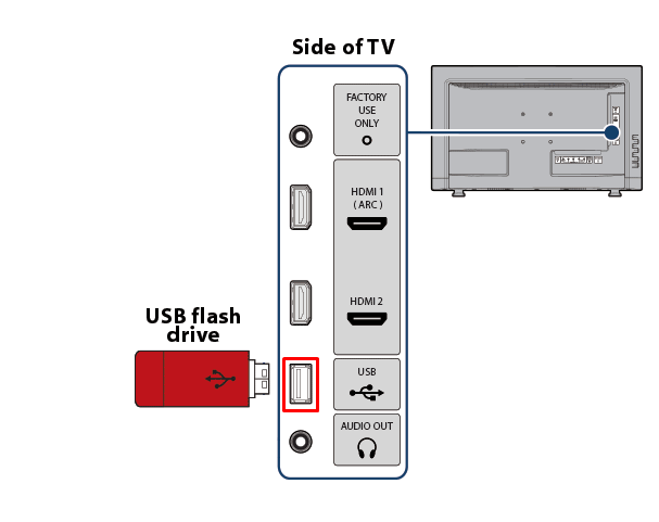 Plugin the USB into the Smart TV