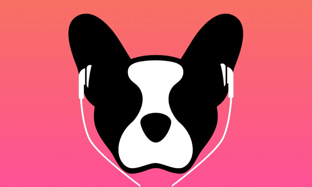 Get Lilly Player to stream A1 IPTV content