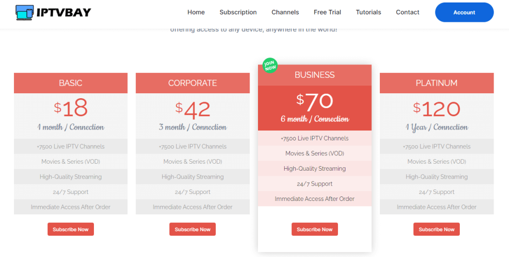 Bay IPTV subscription cost