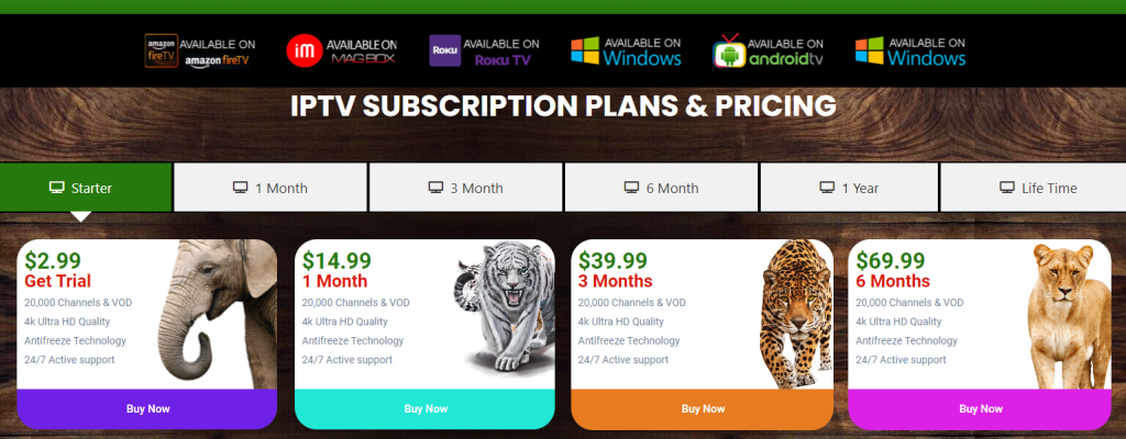 IPTV Jungle subscription cost